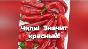 ЧИЛИ! ВКУСНО! Перец на зиму. Что приготовить!? Мои рецепты!