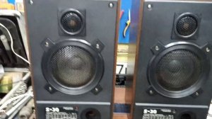 Колонки Радиотехника S-30. Демонстрация работы.