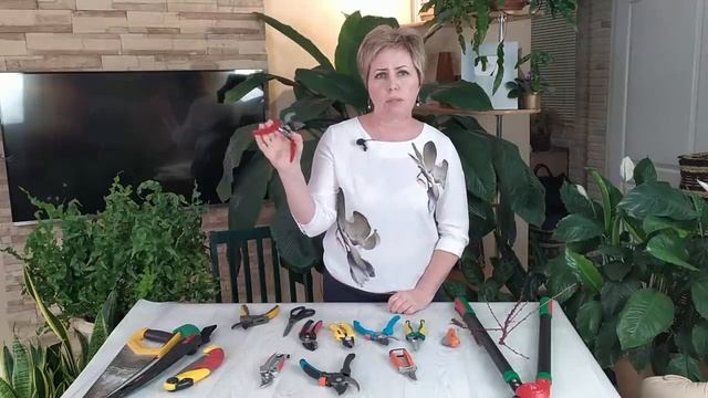 ОБЗОР ИНСТРУМЕНТА ДЛЯ ОБРЕЗКИ САДА смотреть онлайн