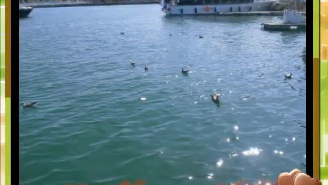 Море, море, мир бездонный...