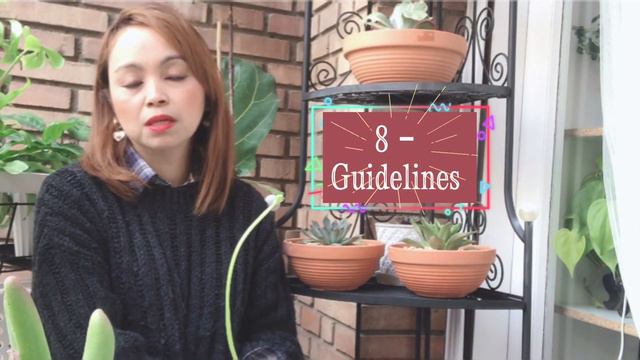 How to grow | succulent plants | 8- guidelines TO KNOW? смотреть онлайн