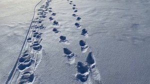 Кан с подогревом , ведро для живца