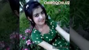 Туй боб шух кушиклар