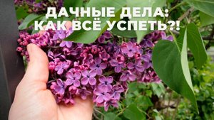 Выходные на даче: как всё успевать?!