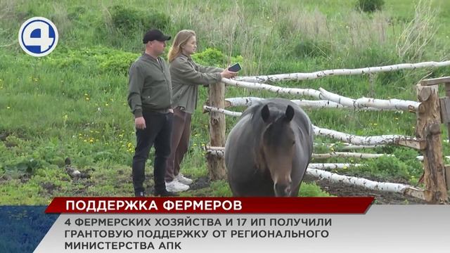 Четыре фермерских хозяйства получили гранты на развитие бизнеса