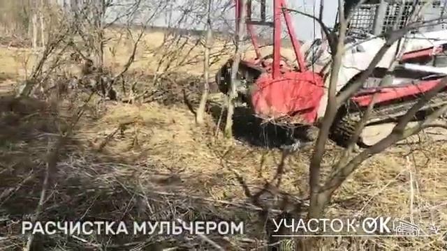 Расчистка участка мульчером п. Кипень смотреть онлайн