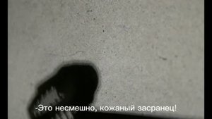Этюд №8. Предмет. Странствия Механического Будды. Мастерская А.А. Эшпая, В.А. Фенченко