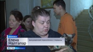 Только из Мариуполя в Ульяновск приехали более 500 вынужденных переселенцев