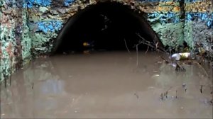 Тайна подземелья