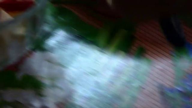 видео рецепт: фруктовый салат