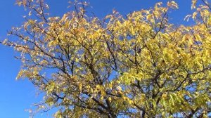 Test: Sony HDR-TD20V-3D video camera