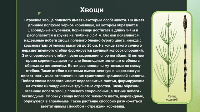 Занятие №5 Объединение «Растениеводство». смотреть онлайн