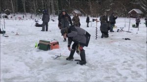 Рыбалка на нижнем водоёме. Клёвое место, Лосиный остров.