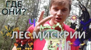 Лес Мискрии 2 локация