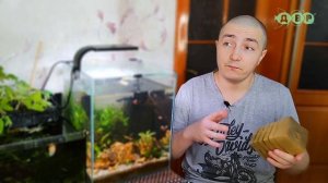Как ПРАВИЛЬНО мыть ГУБКУ для ФИЛЬТРА!