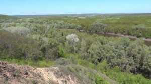 Раскрывая горизонты. Поездка в Новохоперск