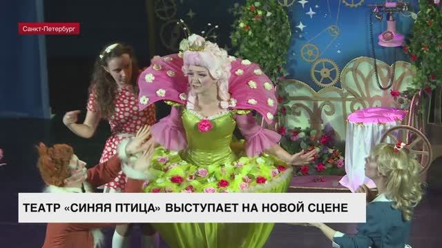 Театр «Синяя птица» выступает на новой сцене