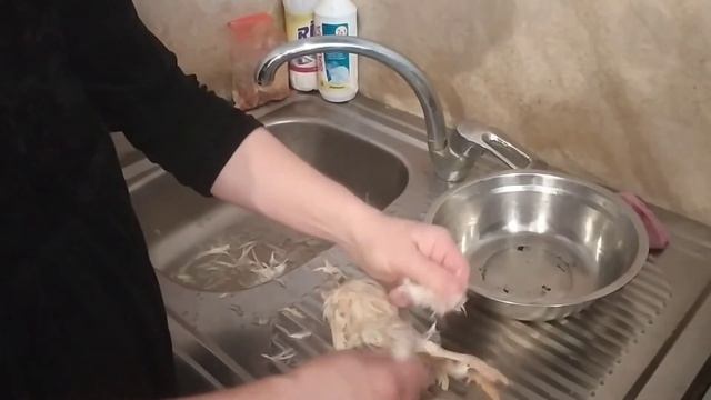 Забой и ощип перепелов смотреть онлайн