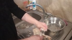 Забой и ощип перепелов