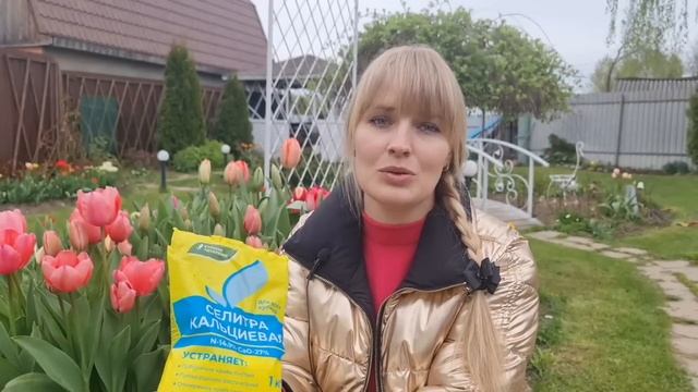 НЕ КОРМИТЕ РОЗЫ, пока не посмотрите ЭТОТ РОЛИК! смотреть онлайн