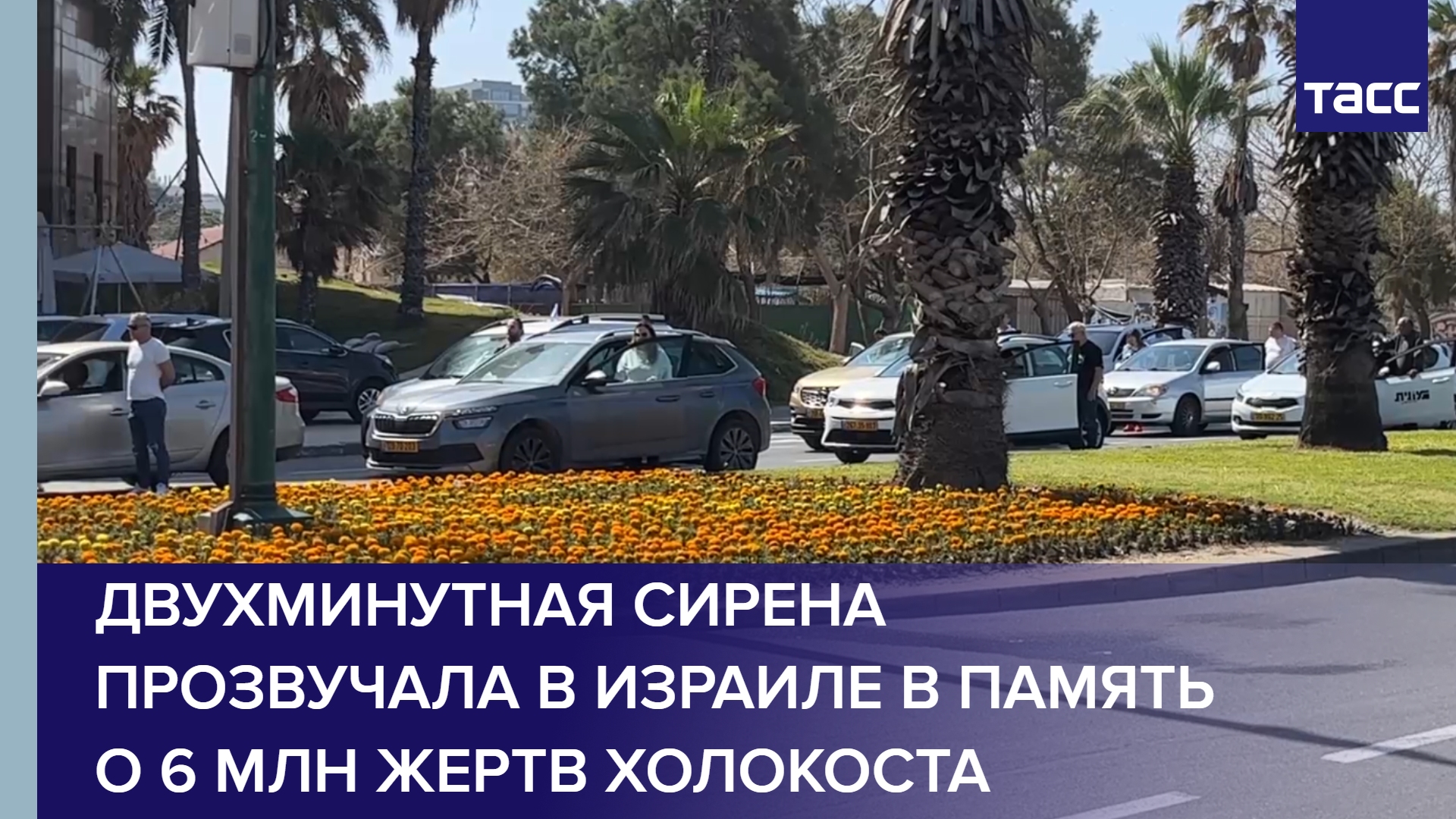 Двухминутная сирена прозвучала в Израиле в память о 6 млн жертв Холокоста #shorts