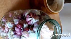 #солимчеснок  Солёный молодой чеснок