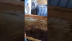 Освободить соты от засахарившегося меда