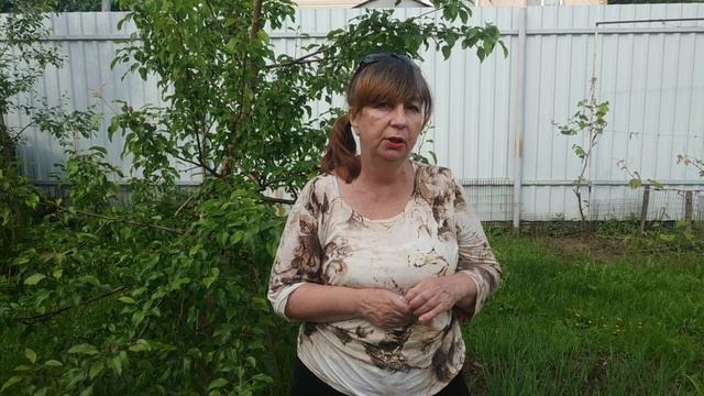 Луковая муха.Эффективные способы борьбы с луковой мухой.