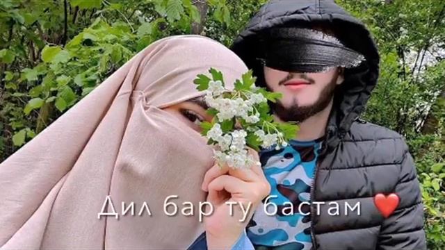 Таджикские песни смотреть онлайн