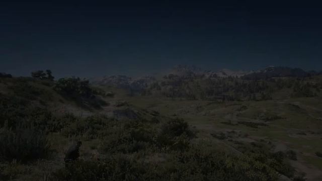 Когда вы забыли, какие моды вы добавили... - RDR 2