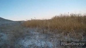 Охота на утку зимой...