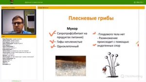 ПЛЕСНЕВЫЕ ГРИБЫ для ЕГЭ|ОГЭ
