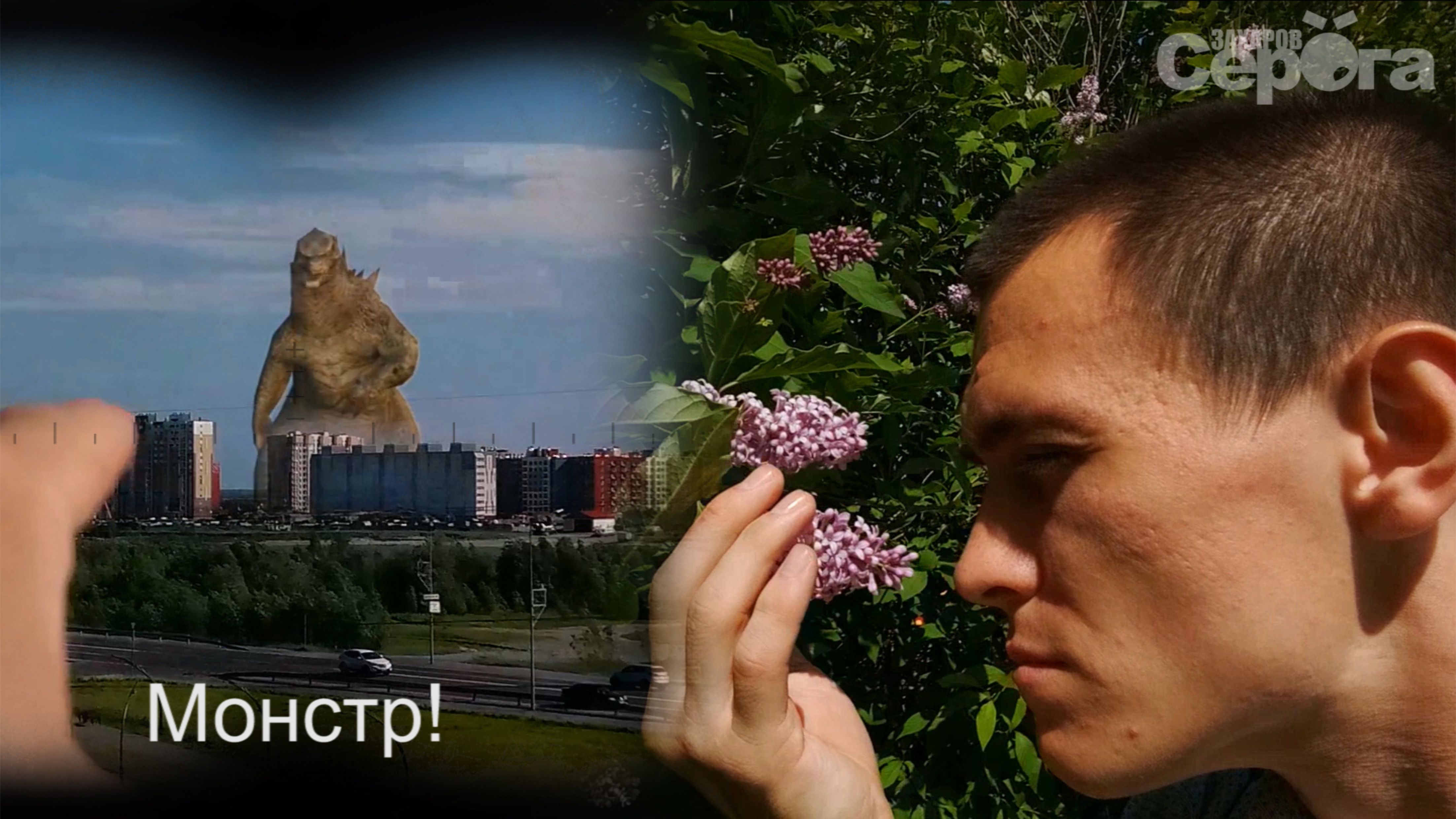 15 июня -- Международный день прогулки I International Walking Day
