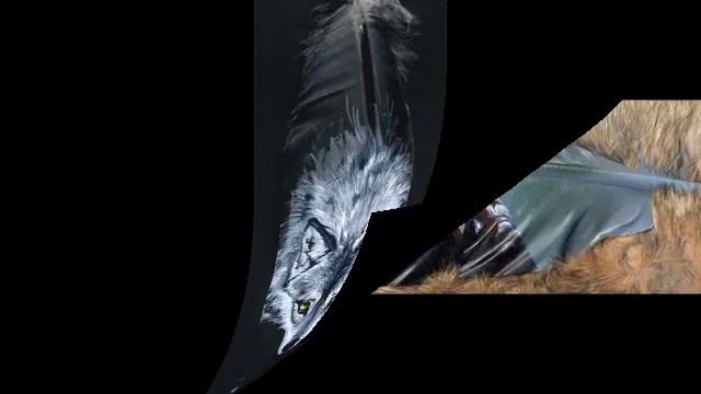 Рисунки на перьях смотреть онлайн