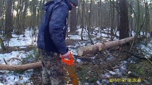 сравнение 2 ножовок в пилении дров