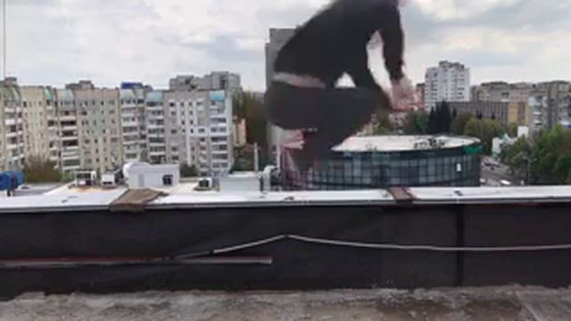Папича довели стримснайперы