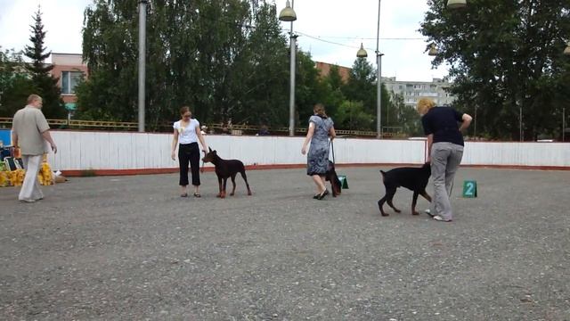 беби курган разминка.MP4 смотреть онлайн