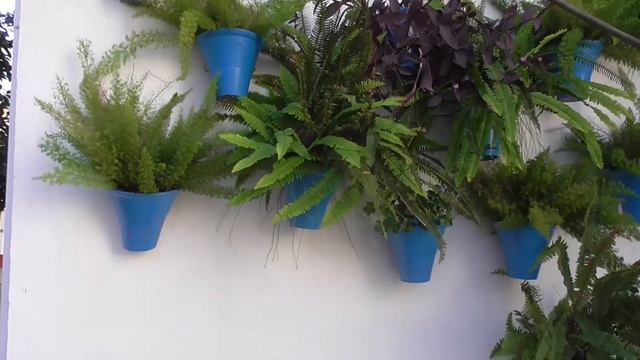 HOMENAJE A LOS VECINOS QUE CUIDAN DE LOS PATIOS EN CÓRDOBA. España. смотреть онлайн