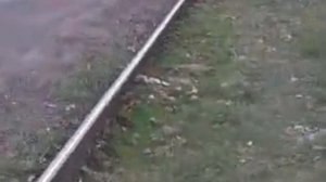 Подкрановый путь под перегружателем