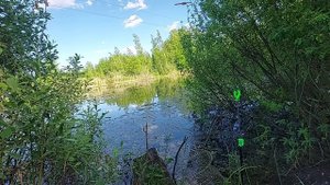 Рыбалка на поплавок в Великом Новгороде. Лужское шоссе