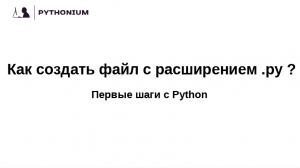 Как создать файл с расширением .py? Пошаговая инструкция. Первые шаги с Python.