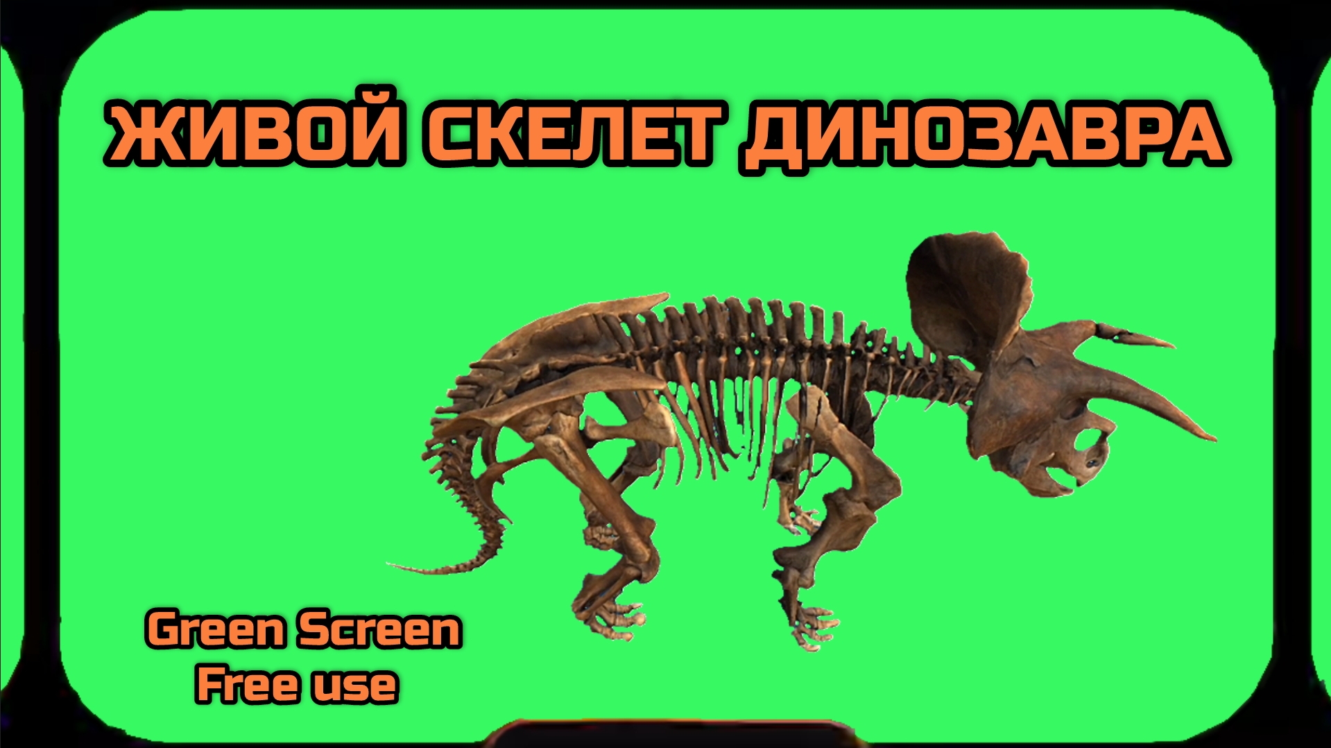 ОЖИВЩИЕ КОСТИ ДИНОЗАВРА видео Green Screen футаж. ХРОМАКЕЙ АНИМАЦИЯ на зелёном фоне.