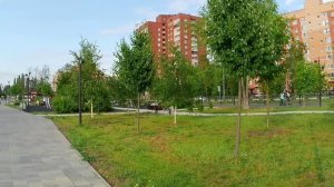 Орехово-Зуево. 1 июля 2023г