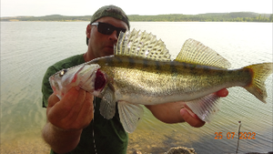 СУДАКИ ЗОМБИ.Рыбалка на судака в Крыму..2022.