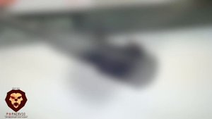 Пневматическая винтовка GAMO Viper Max (Видео-Обзор)