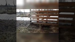 Кормушки для рулонов сена. Сенник. Телега для перевозки сена.