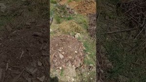 Восстанавливаем плодородный слой почвы