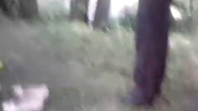 Провожаем брата в армию смотреть онлайн