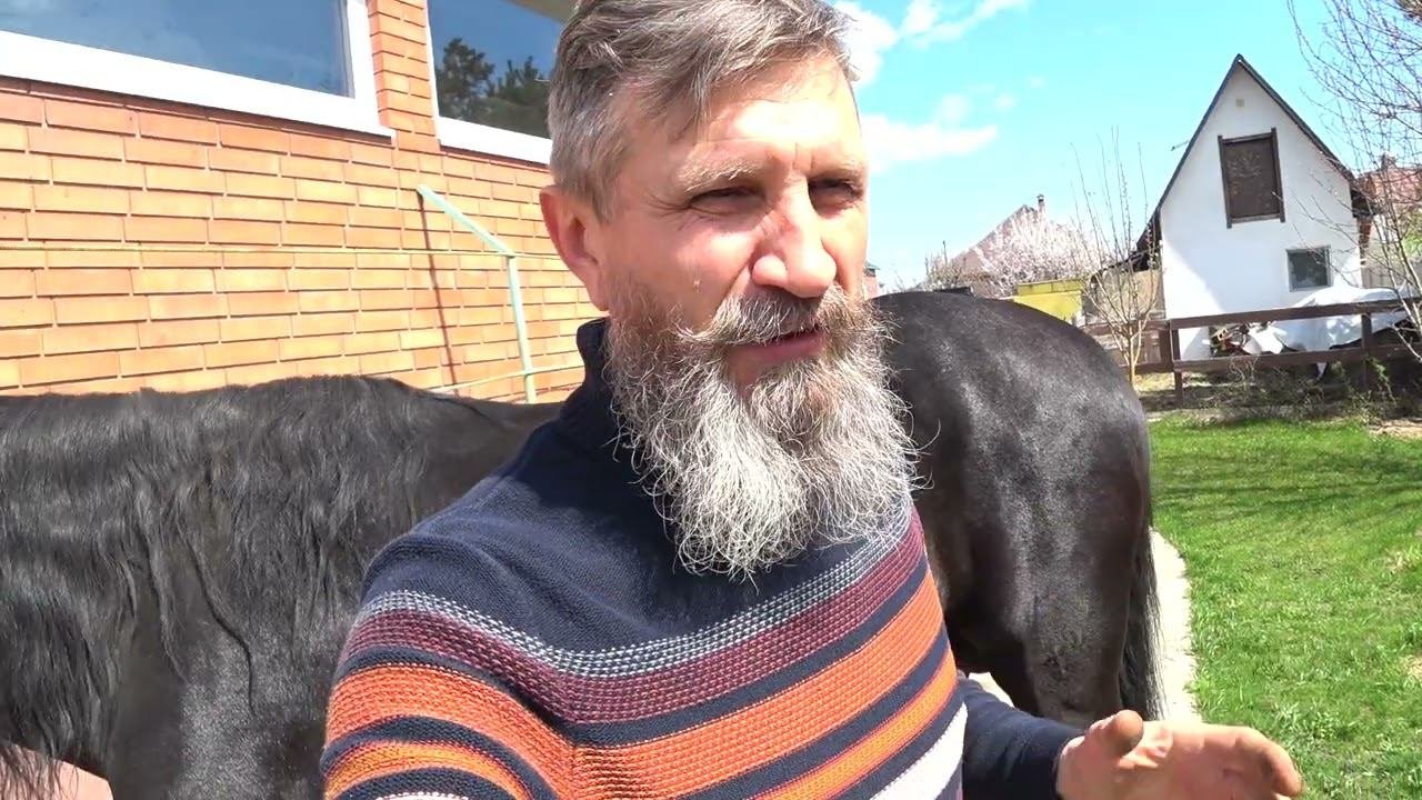 Припухлость у коня.))  Конь расчесывает хвост.