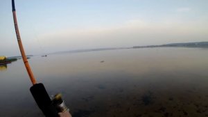 Окунь на Ультралайт. Фантастический клёв.